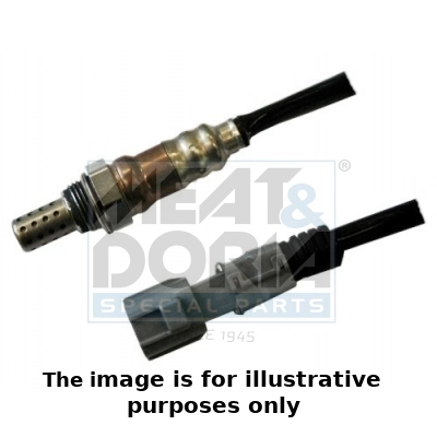Oxygen Sensor